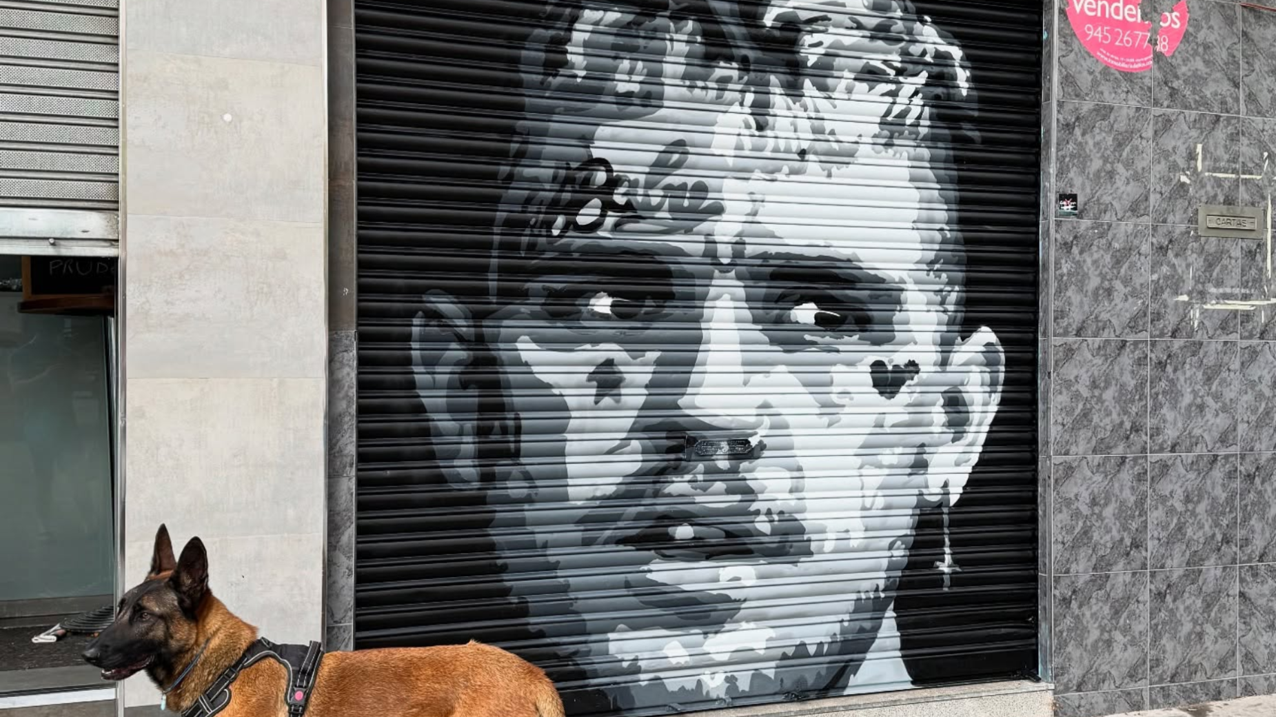 white concrete building wall